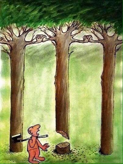 together trees