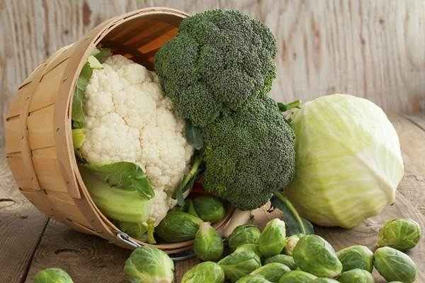 Lista de verduras cruciferas propiedades y efectos en el cuerpo