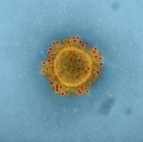 MERS Coronavirus Particle 14702606627