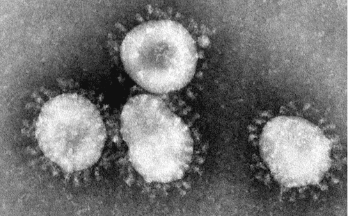 amenaza coronavirus 01