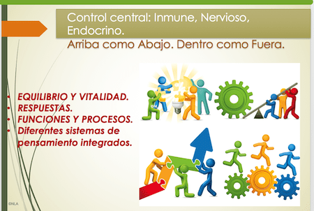 control central 02