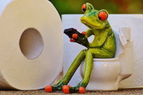 pepel wc-rana