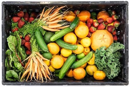 alimentos 01