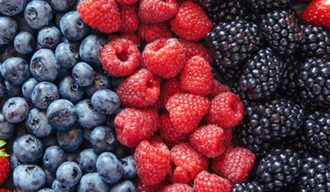 frutas frutos antocianidinas antiox beneficios salud Nuria Lorite.