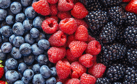 frutas frutos antocianidinas antiox beneficios salud Nuria Lorite.